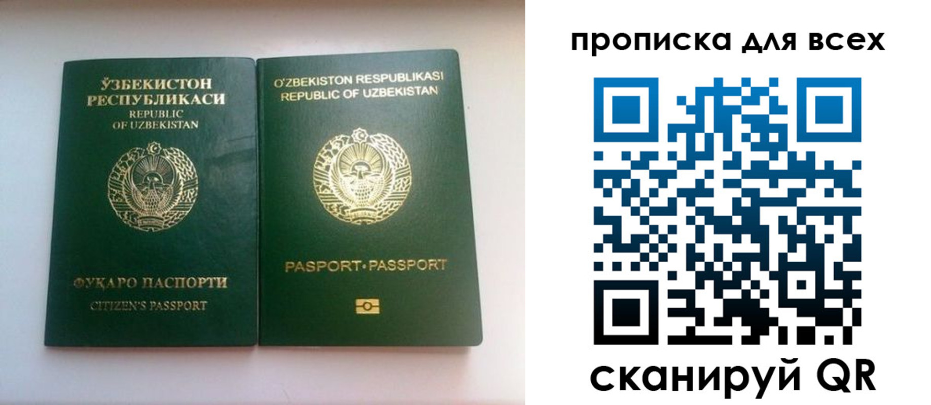 прописка для школы в Плавске